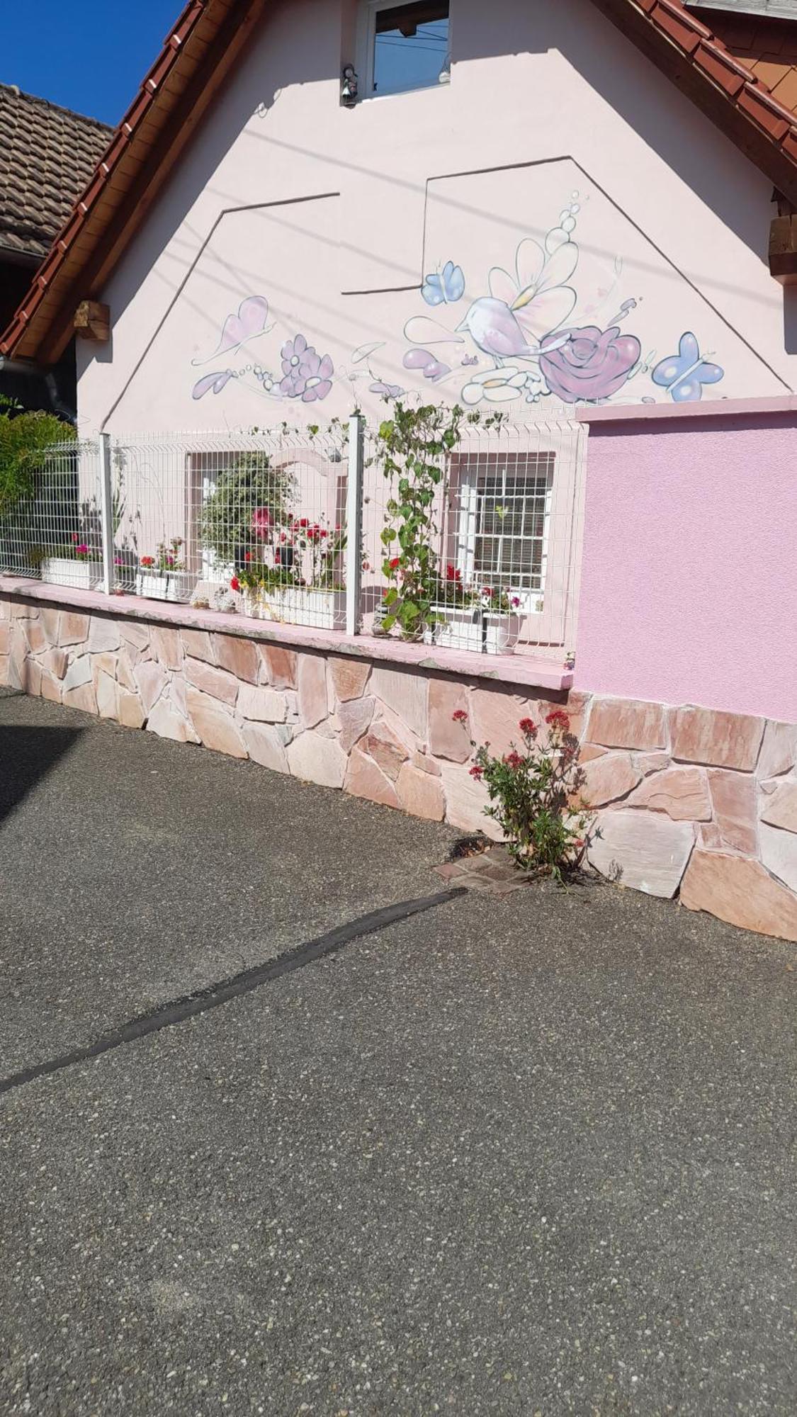 Olympe Vila Dessenheim Exterior foto